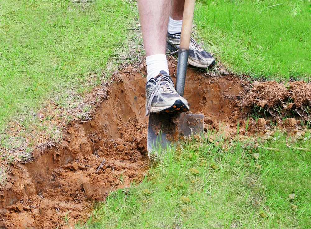 Участок на глинистой почве – как и что посадить, как улучшить почву