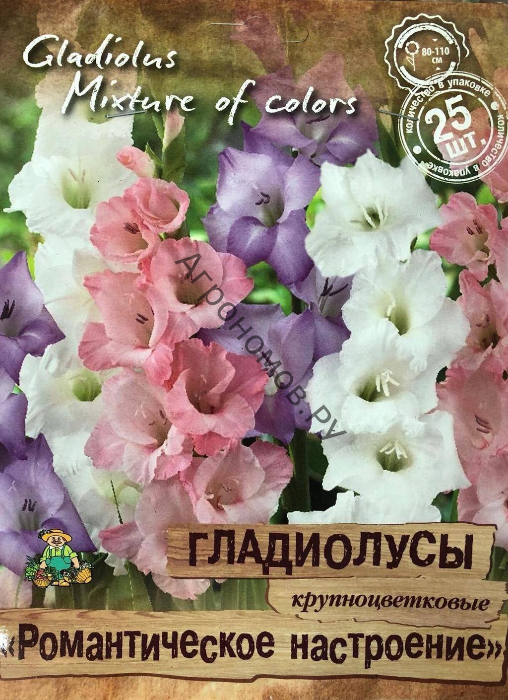 Гладиолусы крупноцветковые "Романтическое настроение" - фото 1